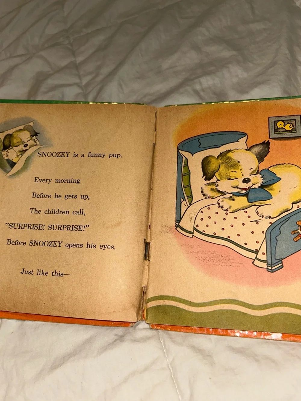 Surprise For Snoozey By Emma McKean, 1944, Tell A Tale Hardcover